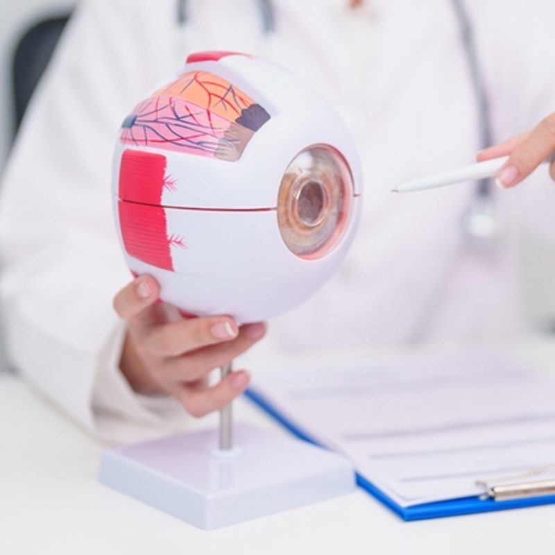 Pterygium-Treatment-in-Ahmedabad-scaled-rdae4mnlpkd2xfdknrgzfdi1656qq47yey9gw18400