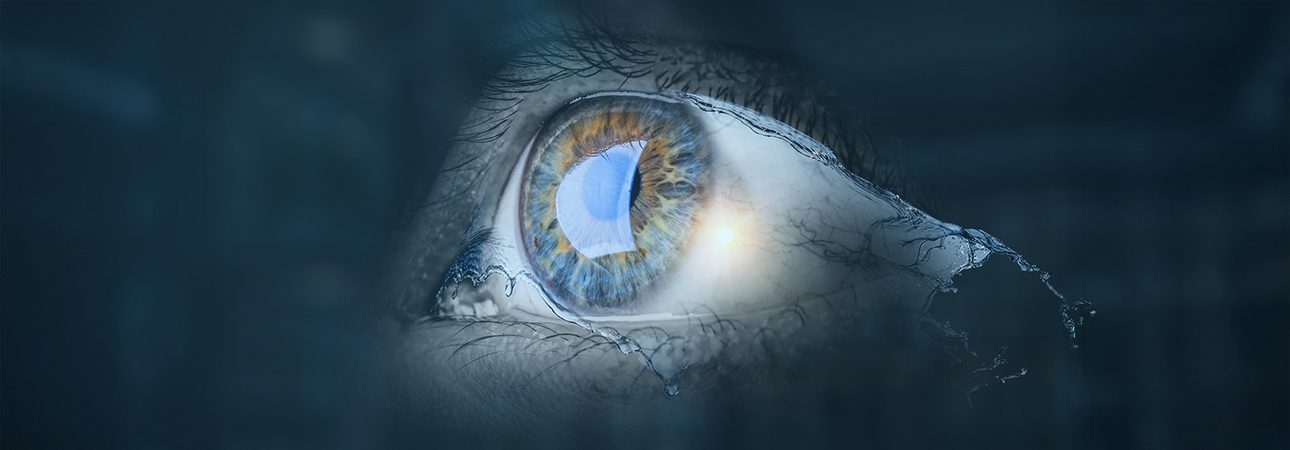 What is Cornea copy
